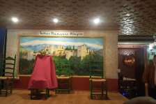 550 granada flamenco show